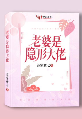 老婆是隐形大佬在线阅读