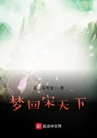 梦回宋天下在线阅读