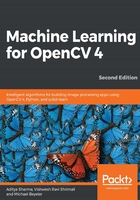 Machine Learning for OpenCV 4(Second Edition)在线阅读