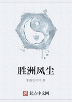 胜洲风尘在线阅读