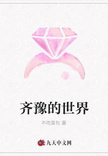 齊豫的世界