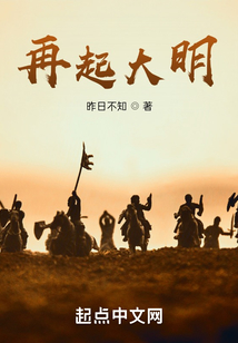 再起大明
