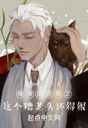 情满四合院之,这个糟老头坏得很在线阅读