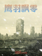 鹰羽飘零在线阅读