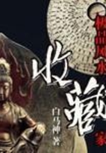 极品风水收藏家 cover