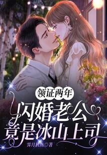 领证两年，闪婚老公竟是冰山上司在线阅读