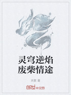 灵穹逆焰废柴情途在线阅读