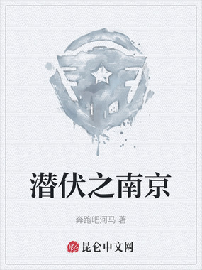 潜伏之南京在线阅读