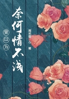 曾以為奈何情不淺在線閱讀