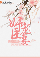 奸臣寵妻在線閱讀