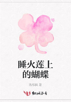睡火蓮上的蝴蝶在線閱讀