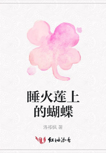 睡火蓮上的蝴蝶