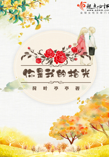 你是我的拾光