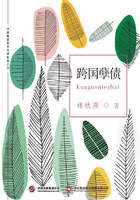 跨國孽債在線閱讀