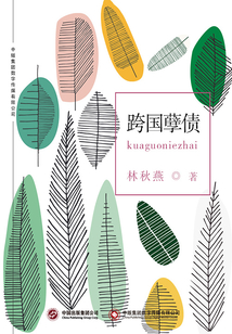 跨国孽债