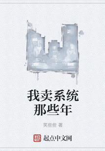 我賣系統(tǒng)那些年