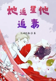 她追星他追妻