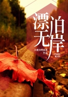 漂泊无岸在线阅读