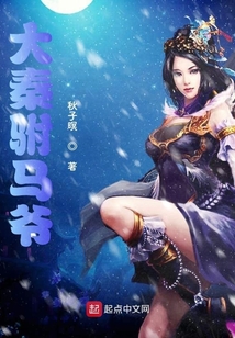 大秦駙馬爺