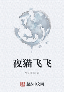 夜貓飛飛