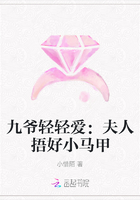 九爷轻轻爱:夫人捂好小马甲在线阅读