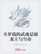 斗罗我的武魂是银龙王与雪帝在线阅读