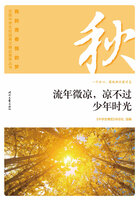 “我的青春我的梦”全国中学生校园美文精品集萃丛书:流年微凉,凉不过少年时光在线阅读