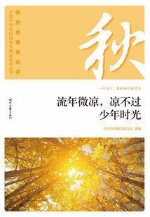 “我的青春我的夢”全國中學生校園美文精品集萃叢書:流年微涼,涼不過少年時光