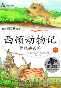 西頓動物記9：勇敢的爸爸
