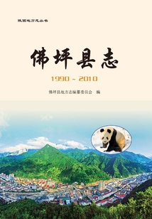 佛坪县志:1990-2010