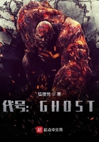 代号:GHOST在线阅读