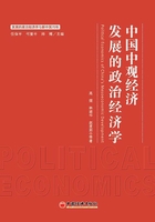 中国中观经济发展的政治经济学研究在线阅读
