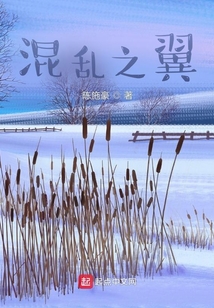 混亂之翼