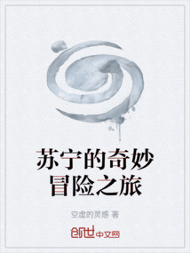 苏宁的奇妙冒险之旅