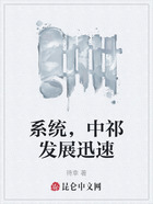 系统,中祁发展迅速在线阅读