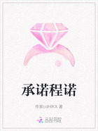 承诺程诺在线阅读