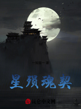 星殒魂契在线阅读
