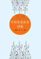 中国年度优秀诗歌2016卷