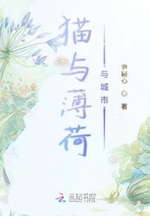 貓與薄荷與城市
