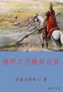 精明之羽檄起边庭