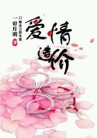 愛情造價在線閱讀