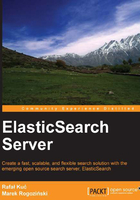 ElasticSearch Server