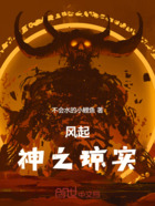 风起:神之琼实在线阅读