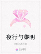 夜行与黎明在线阅读