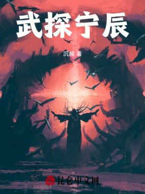 武探宁辰在线阅读