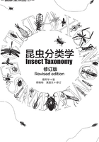 昆虫分类学（修订版）在线阅读