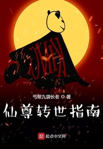 仙尊转世指南