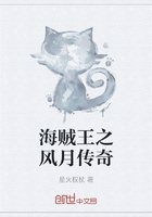 海贼王之风月传奇在线阅读