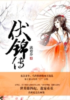 伏錦傳在線閱讀