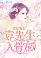 蜜糖婚恋:袁先生入骨宠在线阅读